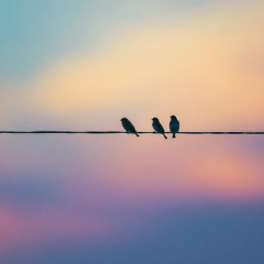 Last Light