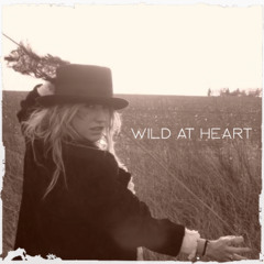 kesha - wild at heart
