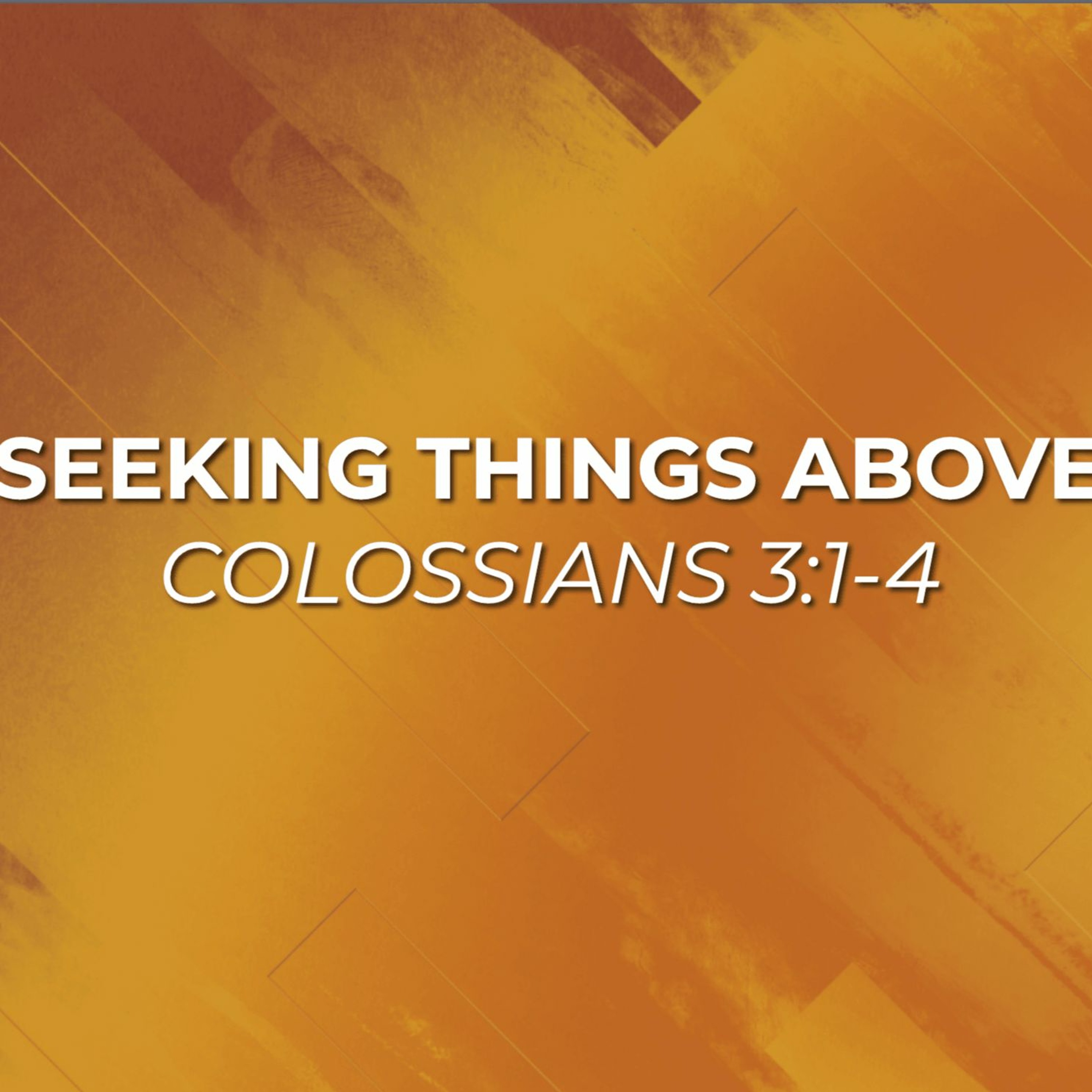Nov 27/22 Colossians 3:1-4 Seeking Things Above - Steve Janz episode artwork