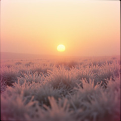 Tomorrow Sunshine