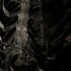Rotting