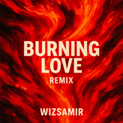 Burning love - Remix by WizSamir