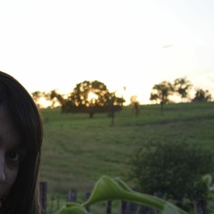 Primavera do Cão (feat. Mari Caetano) - Carvalho Samuel