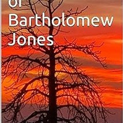 ) The Evening of Bartholomew Jones BY: JK George (Author) *Literary work+