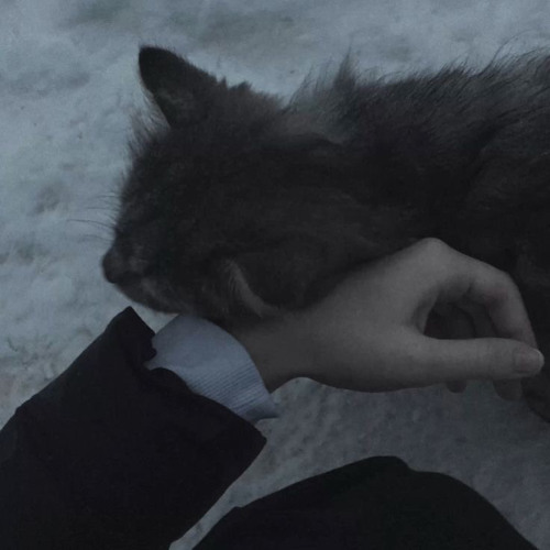 until when i remain alone - وإلى متى سوف أبقى وحيد