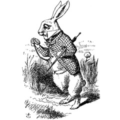 Bolero Conejo Blanco