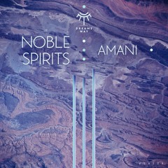 Amani (Original Mix)