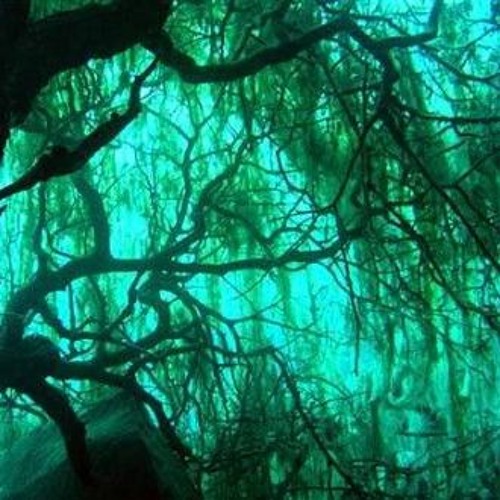 cat soup - internal damage (unreleased) [2021]