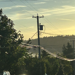 Desert Heat Juice Type Ver.