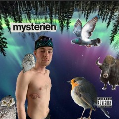 SPRECH MIT EINER TAUBE (PROD BY ICYTWAT)