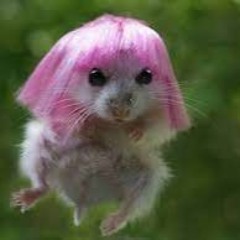 Ogspitzt in Bode nei