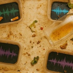 _loop_11_041120251506