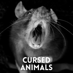 Cállate y baila (2019)