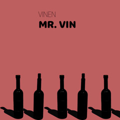 Mr. Vin