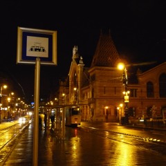 Night In Budapest