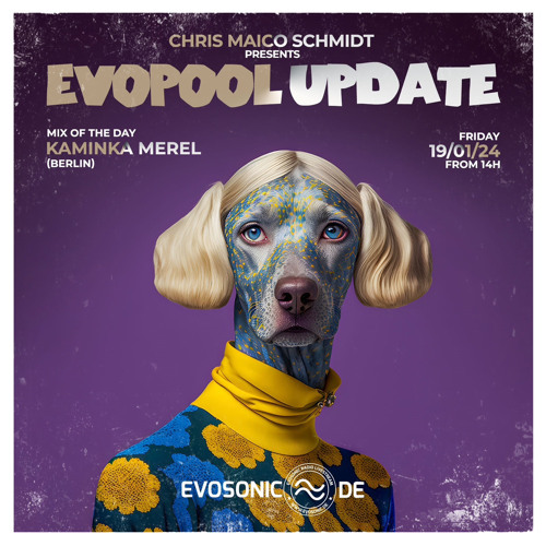 EvopoolPodcast + Evosonic Interview