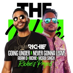 NEVER GONNA LEAVE Vs GOING UNDER [RICHIE'S WALE PROJECT MASHUP]