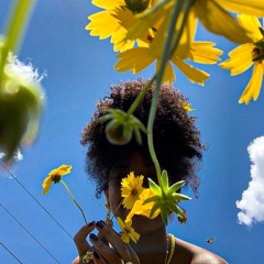 Mi Cielo - OG 7 (MIX.APO)