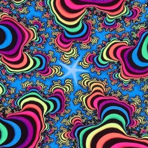 [Y741 - ON MUSHROOMS]