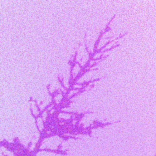 In Motion feat. yadier (prod. domslaps)