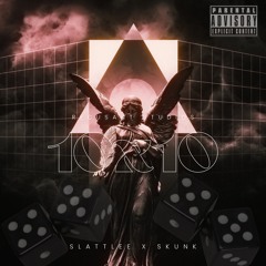 SLATTLEE X SKUNK - 10X10