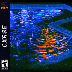 CXRSE - MXLT