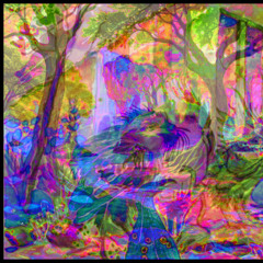 noticing | untitled project 002 sessions | ambient atmospheric woodland drone WIP | check 100 bpm august 5 take 1