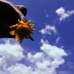 Hidden Emotions