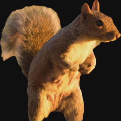 Squirrel! [Instrumental] (The "Tangents" Web Series Theme Song)