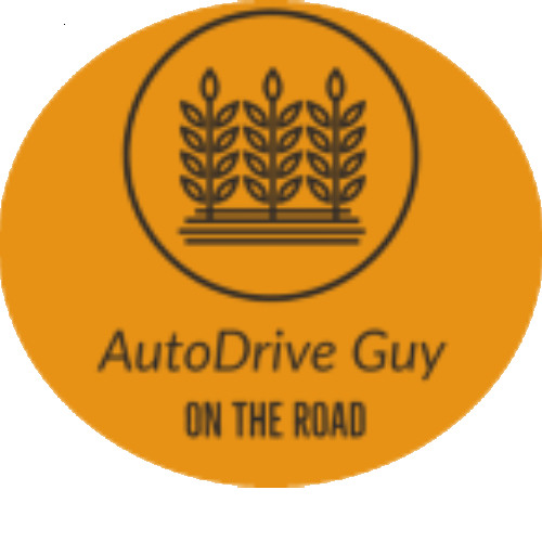 AutoDrive Blues