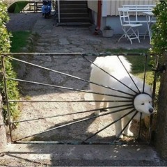 👾 Zusammen unterwegs mit Esmaeili 👾