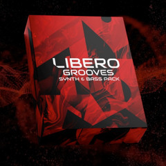 Libero Grooves - Synth & Bass [PREVIEW]