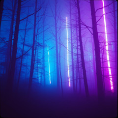 Shadows in my dreams V1
