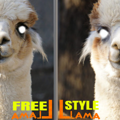 LLLLLLAMA LLLLAMA RED PAJAMA FREESTYLE