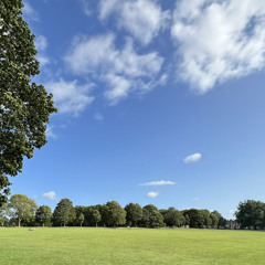 وما من دابة في الأرض إلا على الله رزقها