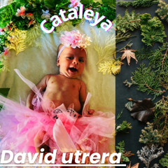 Cataleya