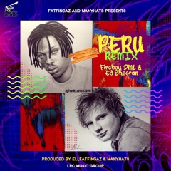 4 bars intro - Fatfingaz & ManyHats ft ELI - PERU -Fireboy DML & Ed Sheeran (dancehall REMIX)