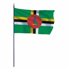 DJ SKAYNOZE - FDM2BOUYON RIDDIM [ BUSH BOY VOICE]