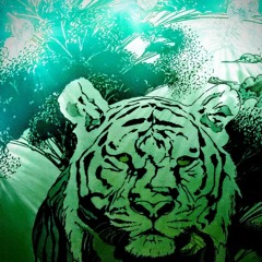 Killing Charmander 9.10