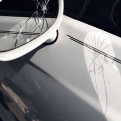 brandnewwhip