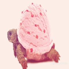 KOCIACZEK - SZCZENSCIE