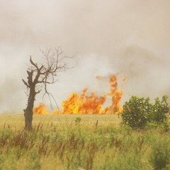 d'incise / Incendies (excerpt)