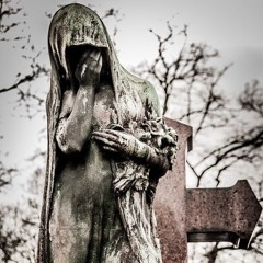 blitz [junglegud + plenty]