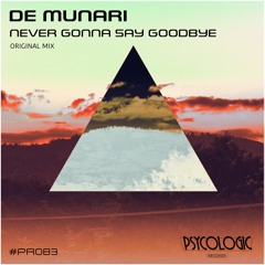 De Munari - Never Gonna Say Goodbye (Original Mix) #PR083