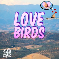 Lovebirds (Mashup)