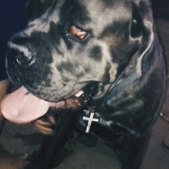 NO GOOF (prod. by J3TSKR3VM)