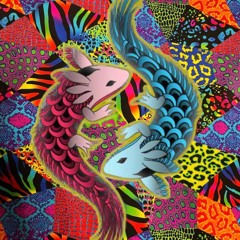 Afro House/Melodic House/Melodic Techno/Trance/Tribal PT.1