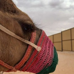 شيلة سلام مضمون الرسايل