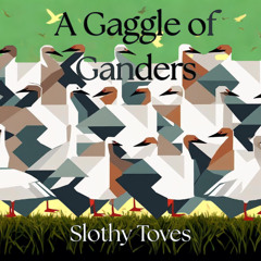 A Gaggle of Ganders