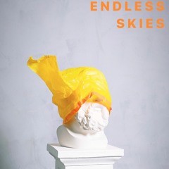 Endless Skies Vol.005